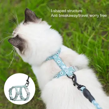 1 Takım Mükemmel Firma Dikiş Kedi Tasma göğüs askısı Uzun Kayış Pet Çekme halatı Geri Kayış Toka Evcil Hayvan Aksesuarları