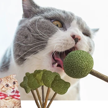 Kediler Şeker Doğal Catnip Oyuncak Top Matatabi Kedi Aperatifler Sopa Yenilebilir Bolus Diş Temizleme Bite dayanıklı Oyuncaklar Kedi Aksesuarları