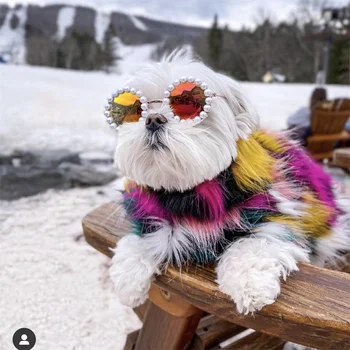 Lüks Gözlük Pet Köpek İnci Güneş Gözlüğü Bichon Teddy Chihuahua Güneş Gözlüğü Headdress İnci Güneş Gözlüğü Köpek Aksesuarları ev hayvanı ürünü
